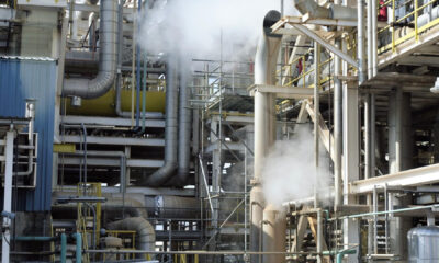 Pourquoi la méthanisation industrielle séduit autant les entreprises ?